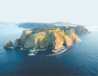 Tasman Island Cruises dagtour vanuit Hobart met bezoek aan Devil Park